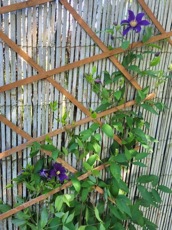וורטי Cosy Room + Breakfast 20 Mn From Epernay מראה חיצוני תמונה
