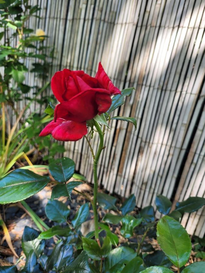 וורטי Cosy Room + Breakfast 20 Mn From Epernay מראה חיצוני תמונה