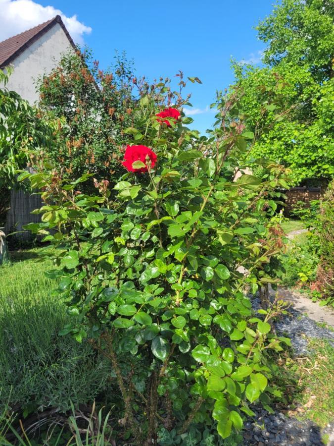 וורטי Cosy Room + Breakfast 20 Mn From Epernay מראה חיצוני תמונה